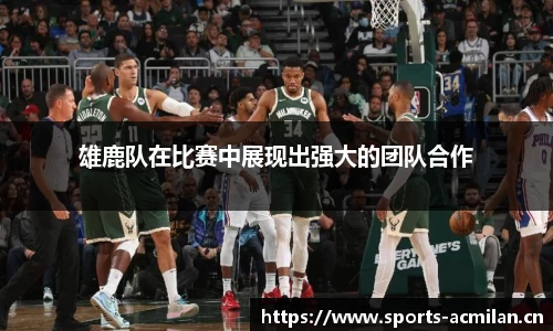 雄鹿队在比赛中展现出强大的团队合作