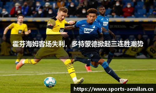 米兰体育官方网站