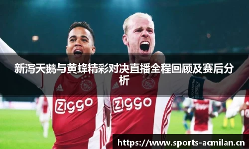 新泻天鹅与黄蜂精彩对决直播全程回顾及赛后分析